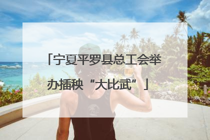 宁夏平罗县总工会举办插秧“大比武”