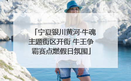 宁夏银川黄河·牛魂主题街区开街 牛王争霸赛点燃假日氛围