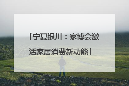 宁夏银川：家博会激活家居消费新动能