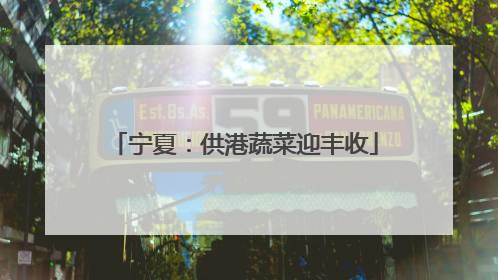 宁夏：供港蔬菜迎丰收