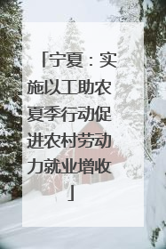宁夏：实施以工助农夏季行动促进农村劳动力就业增收