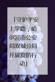 守护平安上学路，哈尔滨市公安局双城分局开展夏防行动