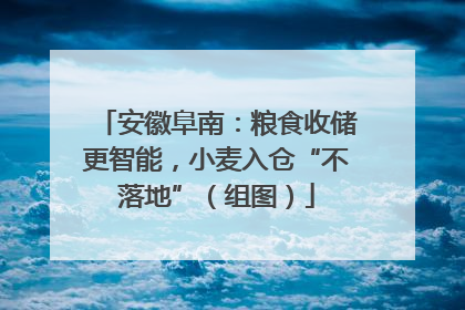 安徽阜南：粮食收储更智能，小麦入仓“不落地”（组图）