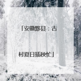 安徽黟县：古村夏日插秧忙