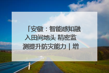 安徽：智能感知融入田间地头 精密监测提升防灾能力｜增发国债气象项目落地见效系列报道