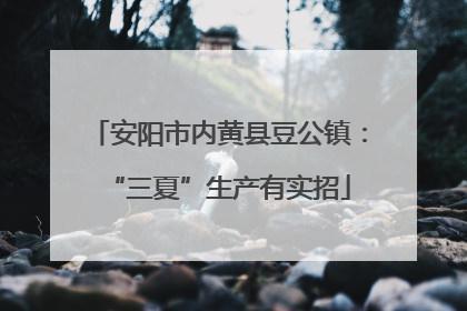 安阳市内黄县豆公镇：“三夏”生产有实招
