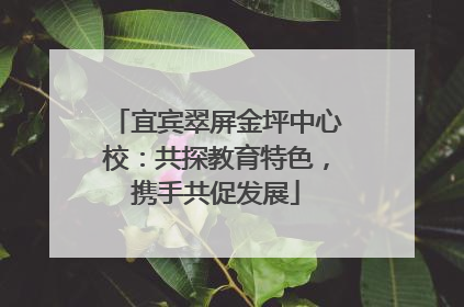 宜宾翠屏金坪中心校：共探教育特色，携手共促发展