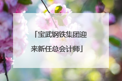宝武钢铁集团迎来新任总会计师