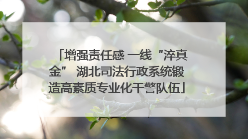 增强责任感 一线“淬真金” 湖北司法行政系统锻造高素质专业化干警队伍