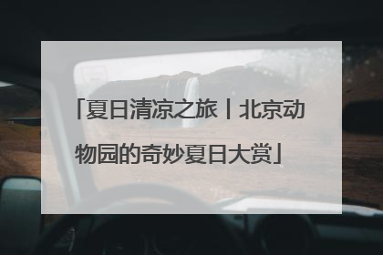 夏日清凉之旅丨北京动物园的奇妙夏日大赏