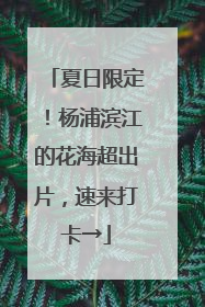 夏日限定！杨浦滨江的花海超出片，速来打卡→