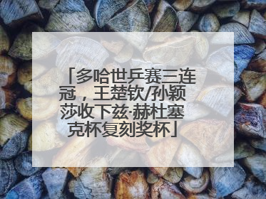 多哈世乒赛三连冠，王楚钦/孙颖莎收下兹·赫杜塞克杯复刻奖杯