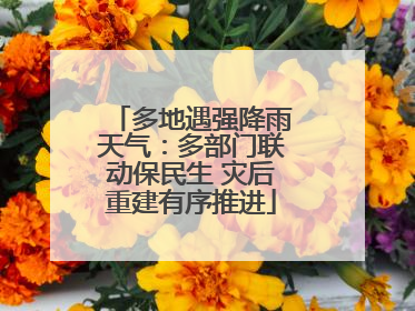 多地遇强降雨天气：多部门联动保民生 灾后重建有序推进