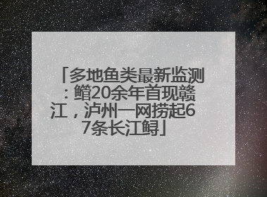 多地鱼类最新监测：鳤20余年首现赣江，泸州一网捞起67条长江鲟