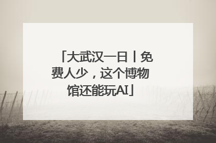 大武汉一日丨免费人少，这个博物馆还能玩AI