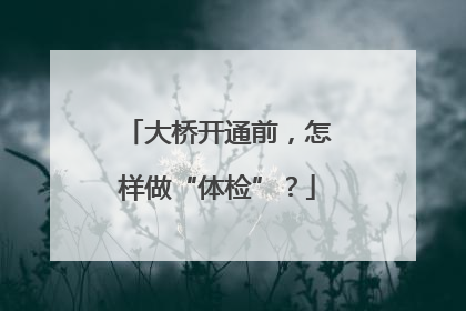大桥开通前，怎样做“体检”？