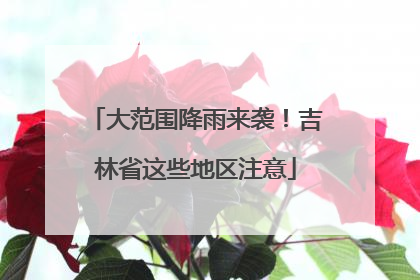 大范围降雨来袭！吉林省这些地区注意
