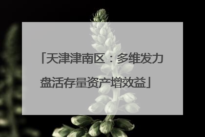天津津南区：多维发力盘活存量资产增效益