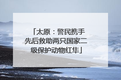 太原：警民携手 先后救助两只国家二级保护动物红隼