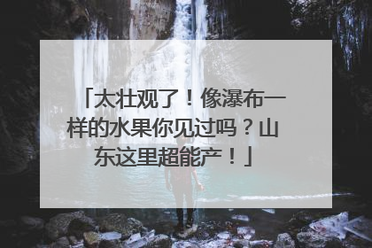 太壮观了！像瀑布一样的水果你见过吗？山东这里超能产！