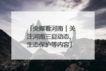 央媒看河南｜关注河南三夏动态、生态保护等内容