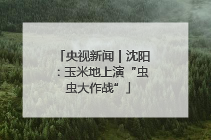 央视新闻｜沈阳：玉米地上演“虫虫大作战”