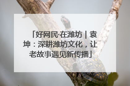 好网民·在潍坊｜袁坤：深耕潍坊文化，让老故事遇见新传播
