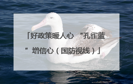 好政策暖人心 “孔雀蓝”增信心（国防视线）
