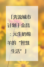 奔流城市计划丨金昌：元生奶绵羊的“智慧生活”