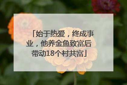 始于热爱，终成事业，他养金鱼致富后带动18个村共富