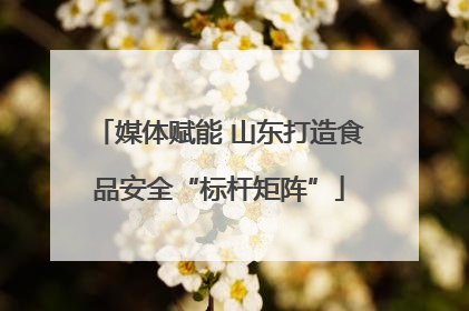 媒体赋能 山东打造食品安全“标杆矩阵”