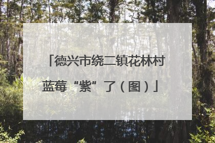 德兴市绕二镇花林村蓝莓“紫”了（图）