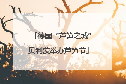 德国“芦笋之城”贝利茨举办芦笋节