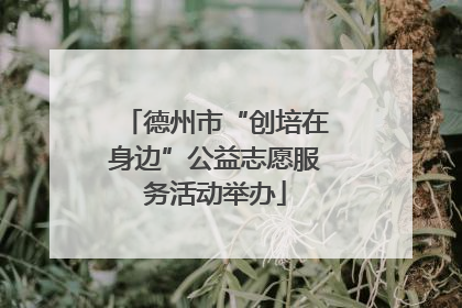 德州市“创培在身边”公益志愿服务活动举办