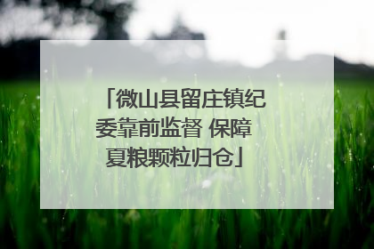 微山县留庄镇纪委靠前监督 保障夏粮颗粒归仓