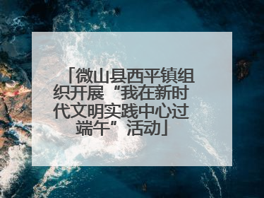 微山县西平镇组织开展“我在新时代文明实践中心过端午”活动