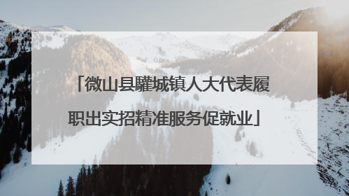 微山县驩城镇人大代表履职出实招精准服务促就业