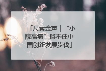 尺素金声｜“小院高墙”挡不住中国创新发展步伐