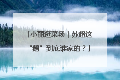 小丽逛菜场｜苏超这“鹅”到底谁家的？