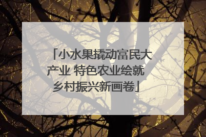 小水果撬动富民大产业 特色农业绘就乡村振兴新画卷