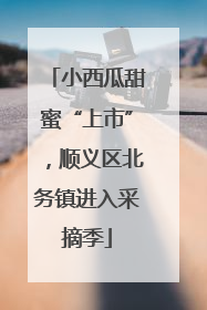 小西瓜甜蜜“上市”，顺义区北务镇进入采摘季