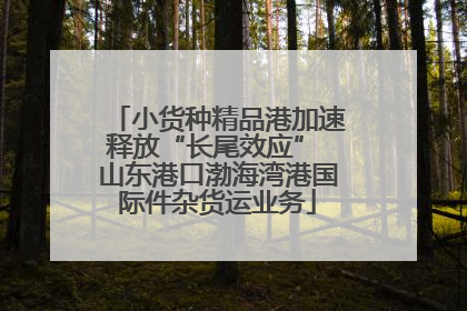 小货种精品港加速释放“长尾效应” 山东港口渤海湾港国际件杂货运业务