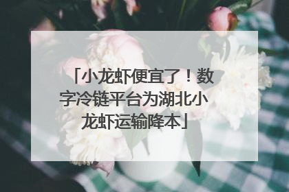 小龙虾便宜了！数字冷链平台为湖北小龙虾运输降本