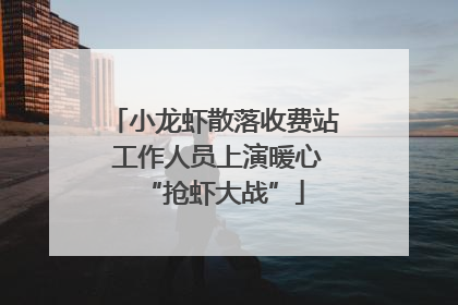 小龙虾散落收费站 工作人员上演暖心“抢虾大战”