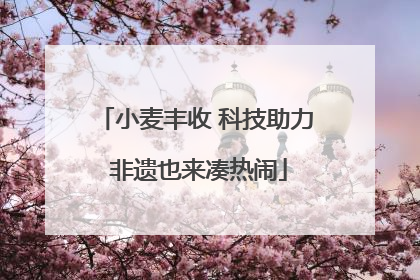 小麦丰收 科技助力 非遗也来凑热闹
