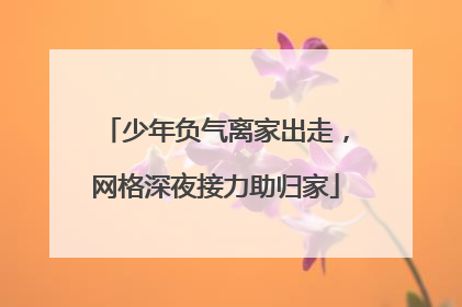 少年负气离家出走，网格深夜接力助归家