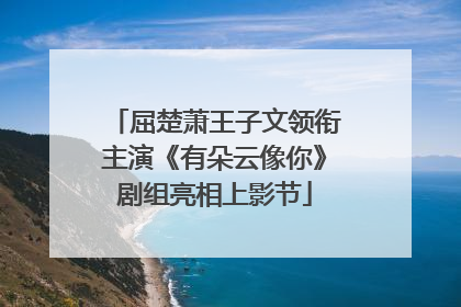 屈楚萧王子文领衔主演《有朵云像你》剧组亮相上影节