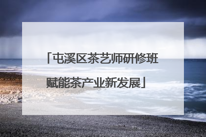 屯溪区茶艺师研修班赋能茶产业新发展