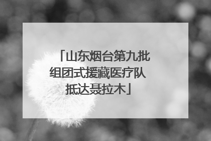 山东烟台第九批组团式援藏医疗队抵达聂拉木