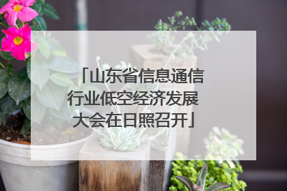 山东省信息通信行业低空经济发展大会在日照召开